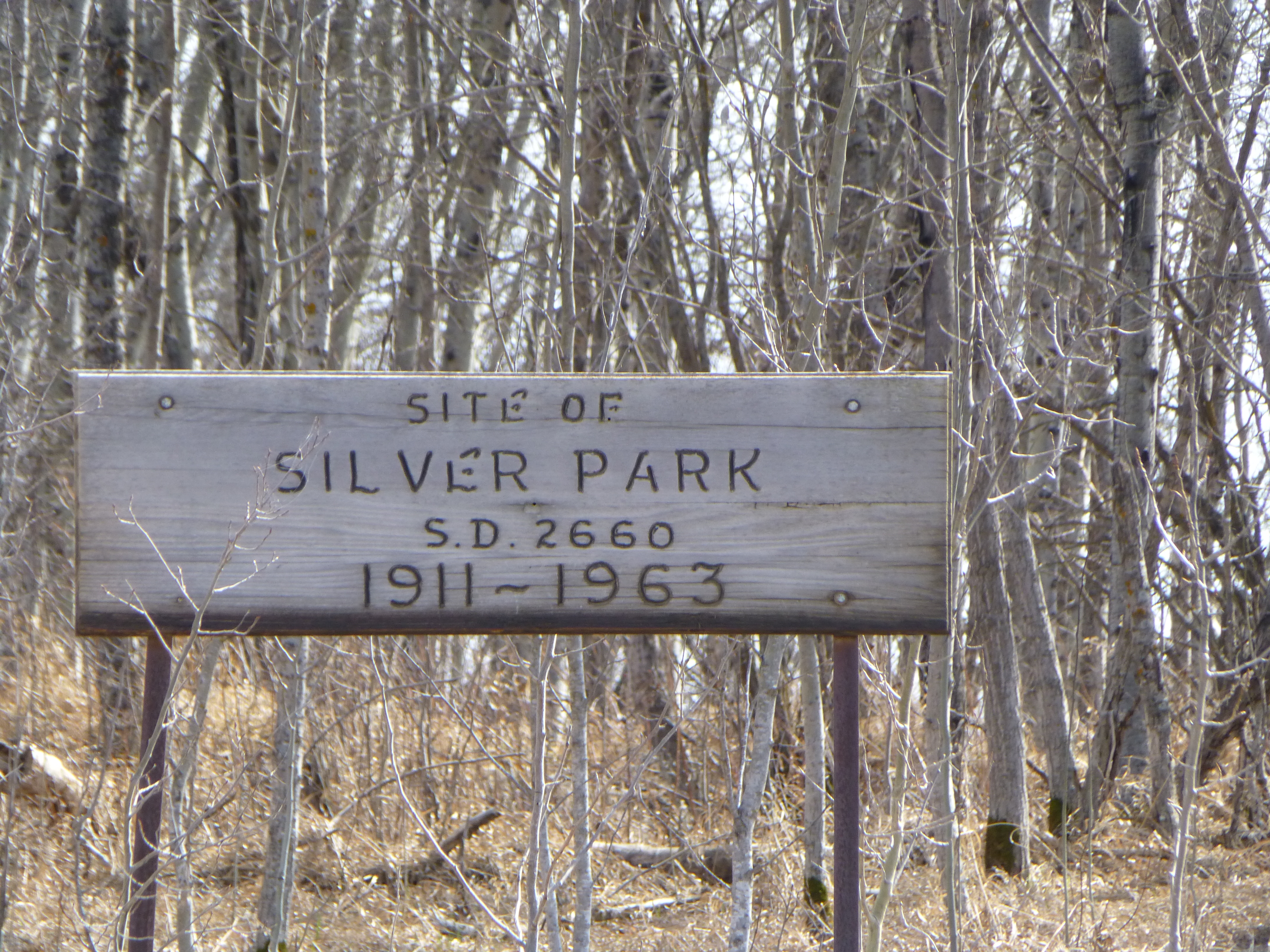 Silver Park School District 2650,North West quarter of section 33 township 42 range 18 west of the second meridian, 1911-1963, Silver Park Canadian Pacific Rail Siding NW 34 42 18 W2,1907-1970,South of Melfort,  Pleasantdale RM 398, Saskatchewan, Sask, Sk, Canada, township, range, meridian, vintage, antique, school, school house, one room school house, one room school, school-house, one-room school-house, one room school house project, One Room School Project,  , 
